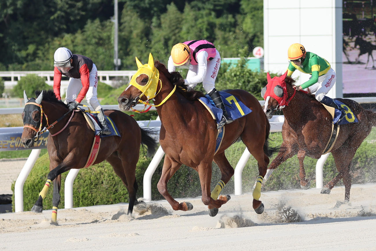 22年6月、園田のサルビア賞を制したワールドタキオン