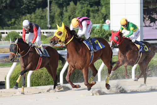 22年6月、園田のサルビア賞を制したワールドタキオン