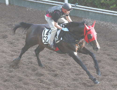 坂路で追い切るトゥラヴェスーラ
