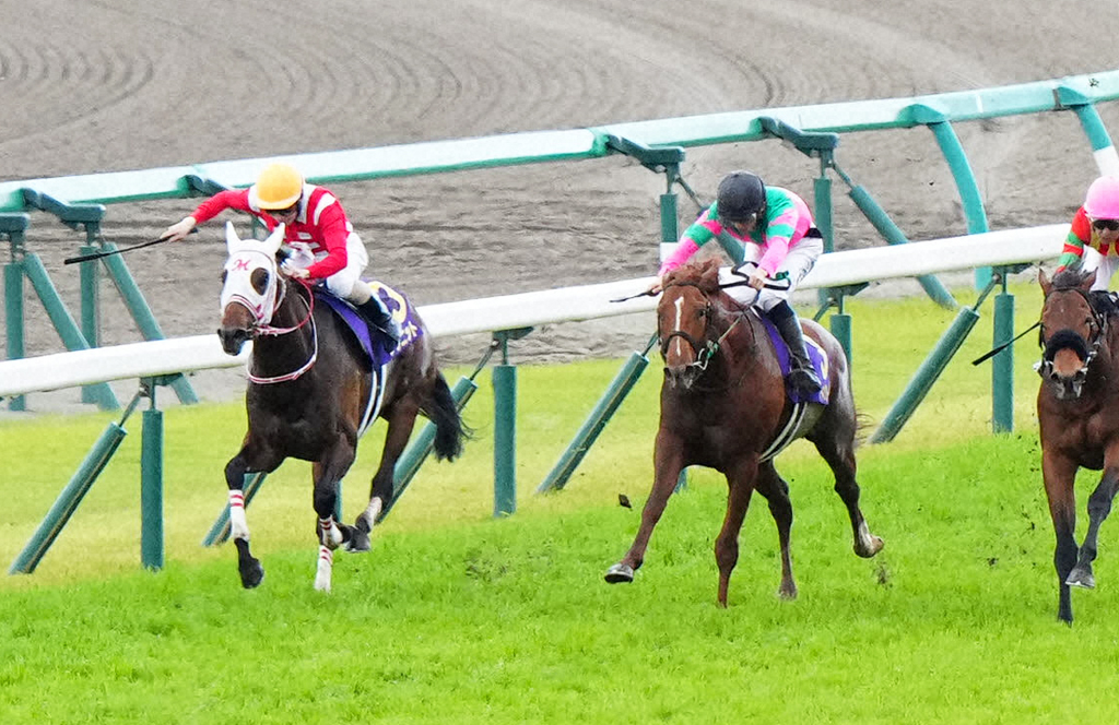 皐月賞12着に敗れたグラニット（左）