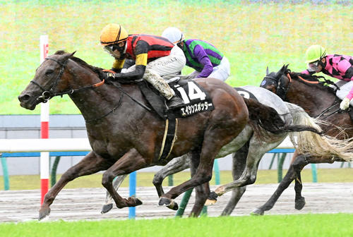 5月7日、鞍馬Sを制したエイシンスポッター