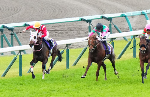 皐月賞12着に敗れたグラニット（左）