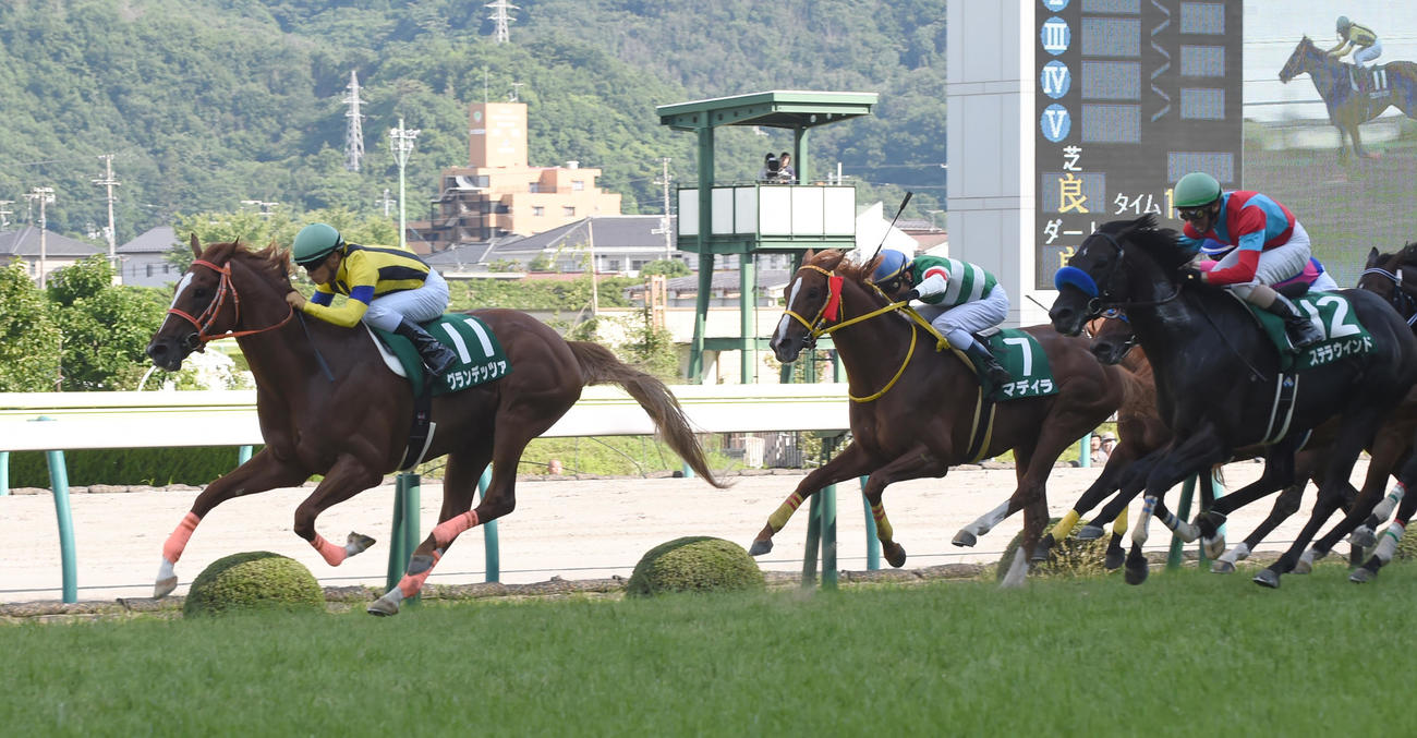 七夕賞を制したグランデッツァ（2015年7月12日撮影）