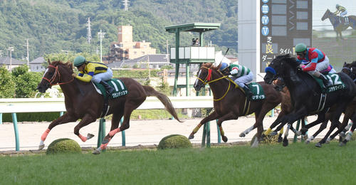 七夕賞を制したグランデッツァ(2015年7月12日撮影)