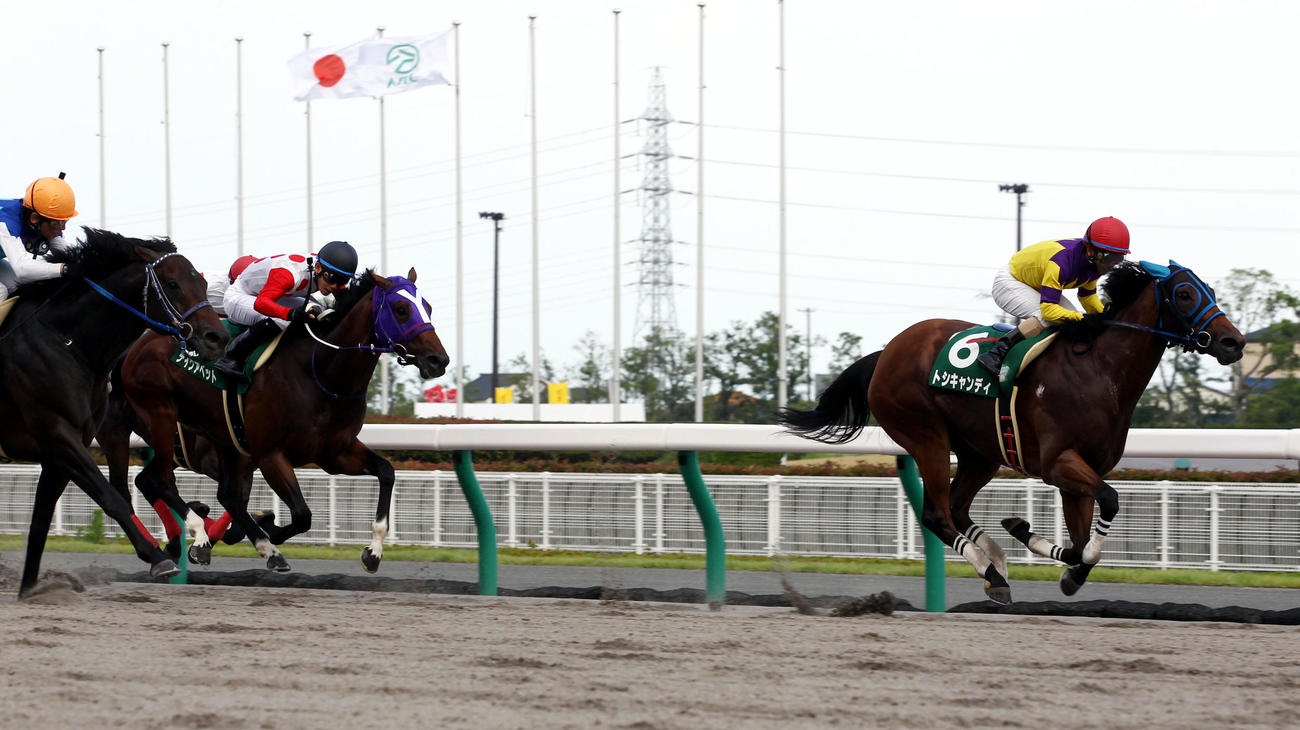 プロキオンSを制したトシキャンディ（2012年7月8日撮影）