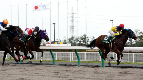 プロキオンSを制したトシキャンディ(2012年7月8日撮影)