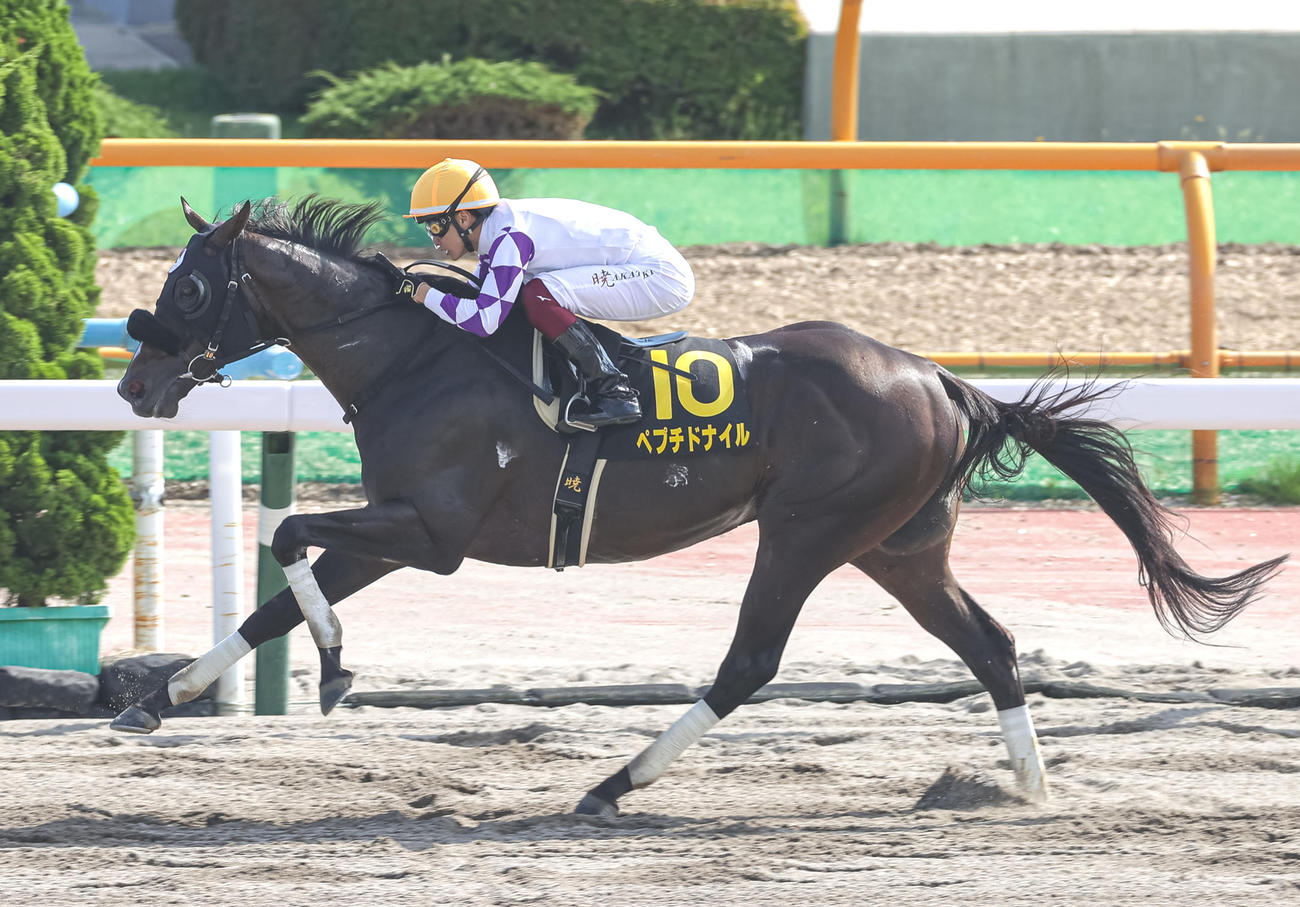 6月25日、大沼Sを制したペプチドナイル