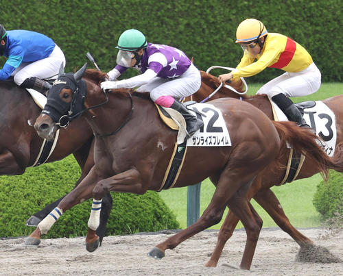 3歳上1勝クラスを制したサンライズフレイム(2023年6月撮影)