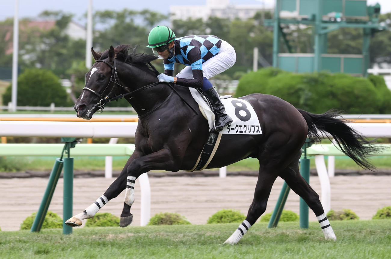 2021年8月、新馬戦を制したダークエクリプス