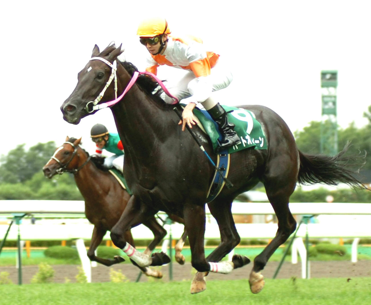 2007年8月5日、函館2歳Sを制したハートオブクィーン