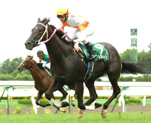 2007年8月5日、函館2歳Sを制したハートオブクィーン