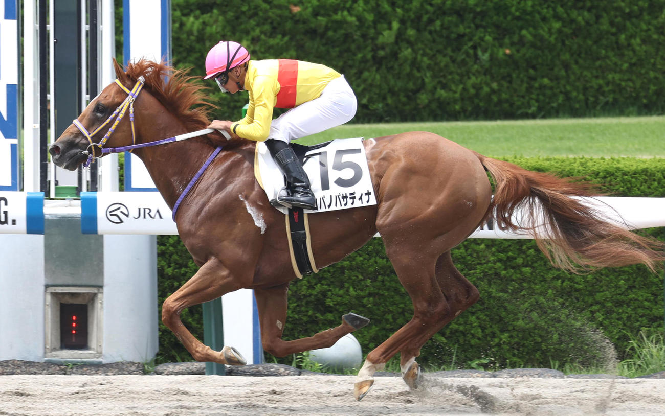 6月24日、3歳1勝クラスを制したコパノパサディナ