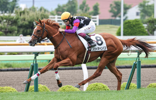 6月10日、新馬戦を快勝したスカイキャンバス