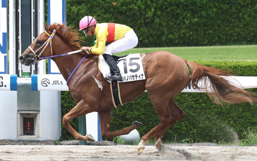 6月24日、3歳1勝クラスを制したコパノパサディナ