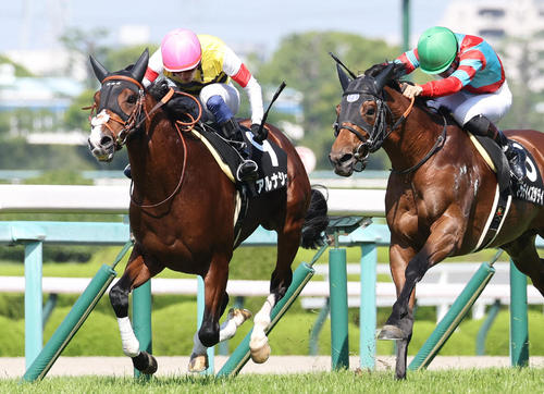 6月17日、垂水Sを制したアルナシーム(左)