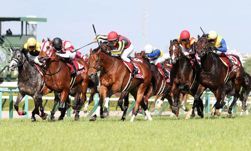 2021年4月25日、マイラーズCで好位4番手から踏ん張って3着に好走したカイザーミノル(左から2頭目)