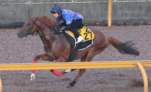 CWコースで追い切るウイングレイテスト