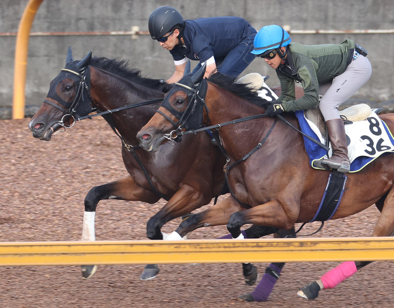 CWコースを併せ馬で追い切るルージュスティリア（左）