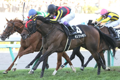 昨年の手稲山特別を制したモンファボリと武豊騎手