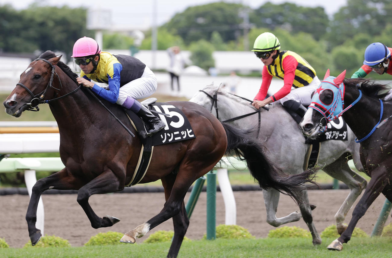 青函S2着に敗れたカルネアサーダ（奥）