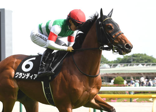 むらさき賞2着に敗れたグランディア