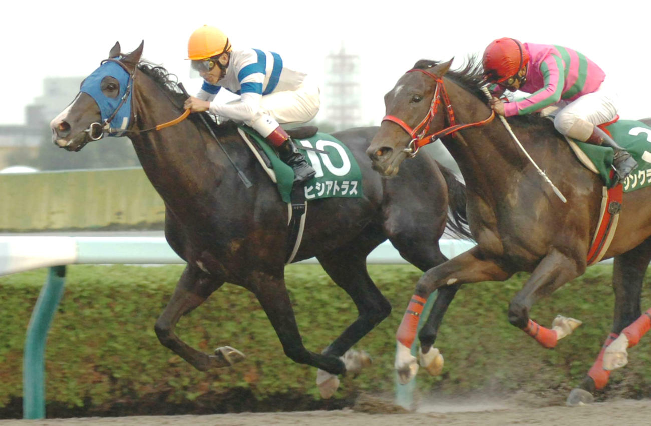 06年エルムSを制したヒシアトラス