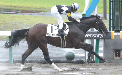 アスクドゥラメンテ(2021年撮影)