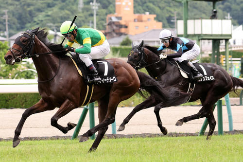彦星賞4着に敗れたカジュフェイス(右)。左は勝ったサンティーテソーロ
