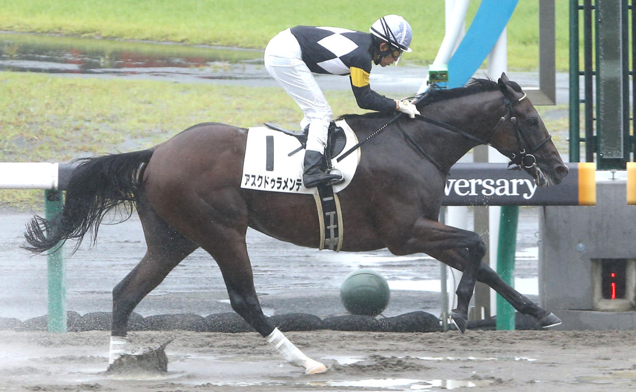 アスクドゥラメンテ（2021年撮影）
