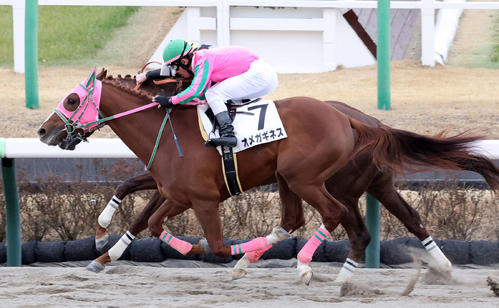 2月25日中山7Rの3歳1勝クラスを制したオメガギネス