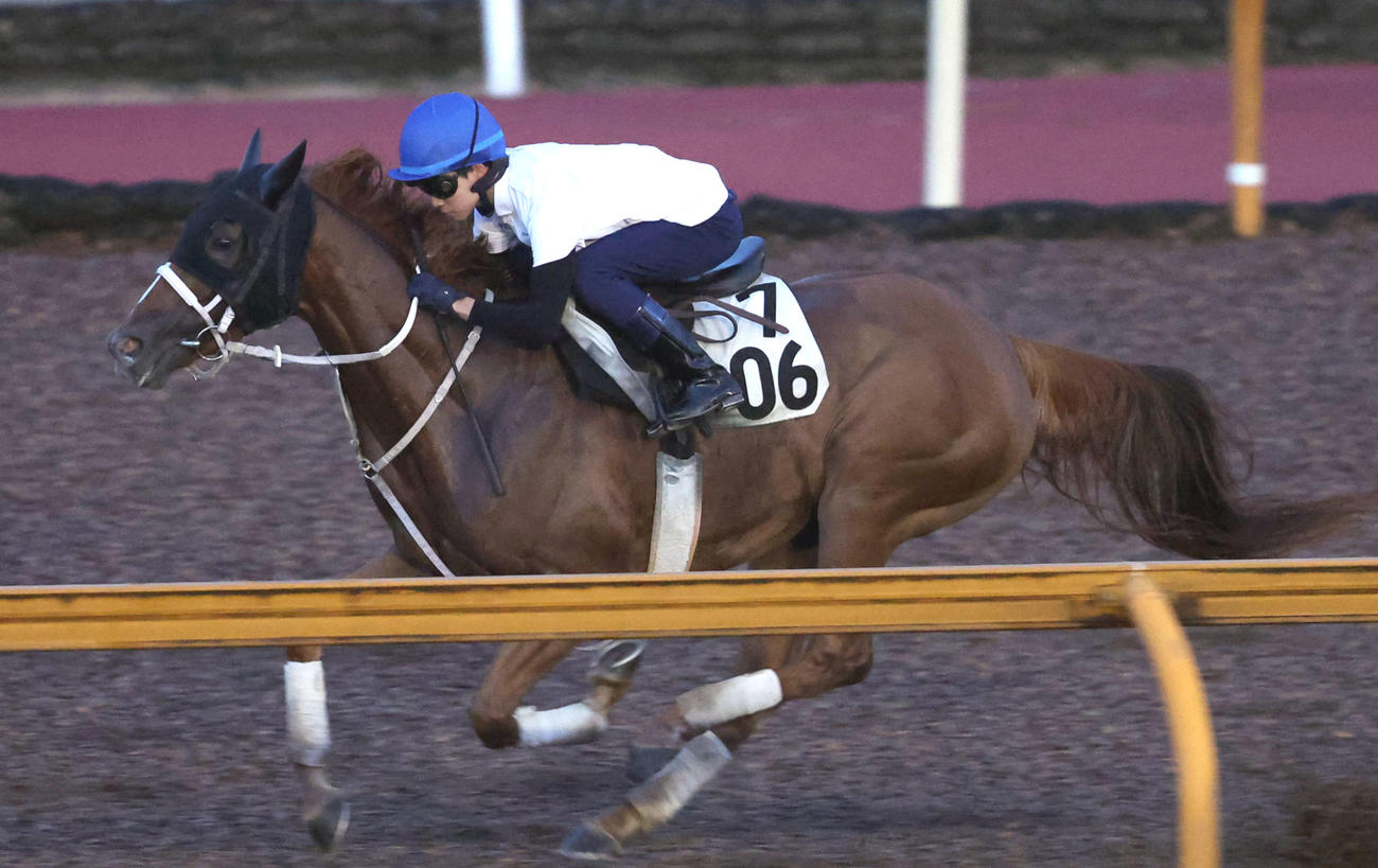 角田河騎手を背にCウッドを単走で追い切るゴールドエクリプス（撮影・白石智彦）