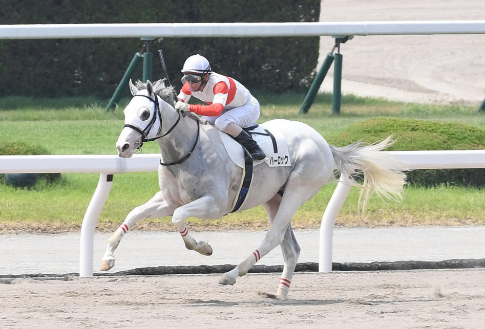 20年8月新馬戦を制したダノンハーロック