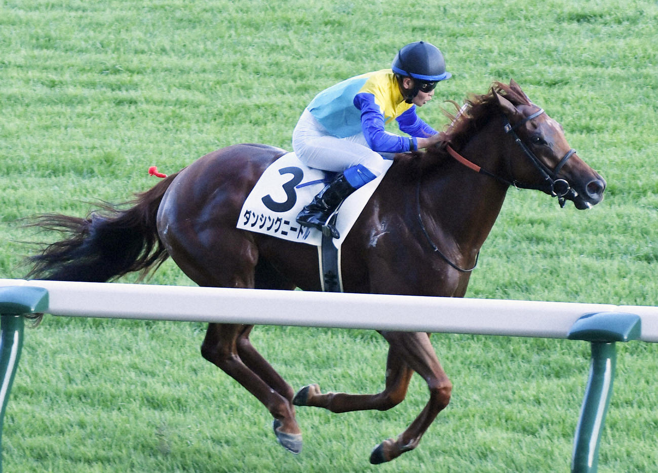 7月29日新潟12R3歳上1勝クラスを制したダンシングニードル