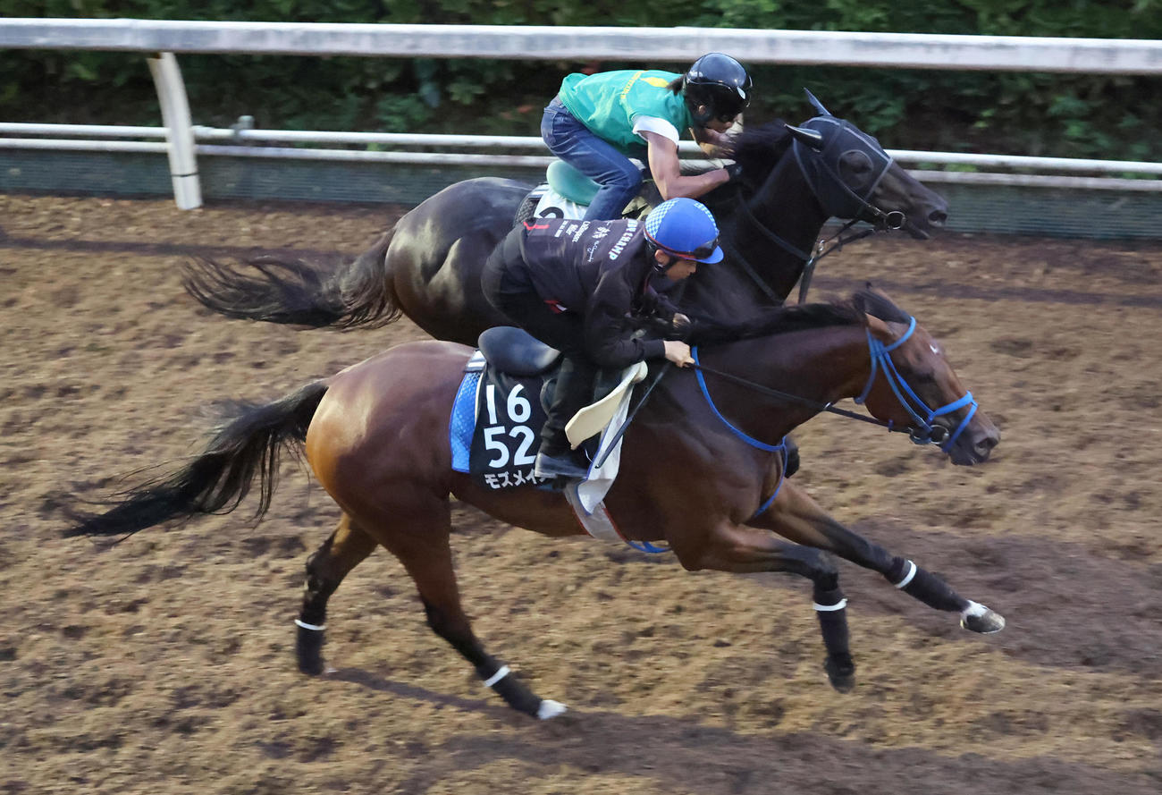 坂路で併せ馬で追い切るモズメイメイ（手前）