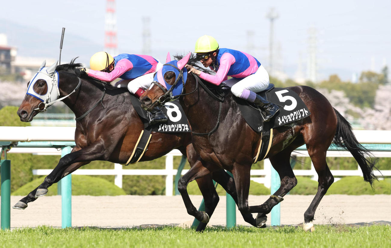 4月仲春特別で2着のメイショウクリフト（右）