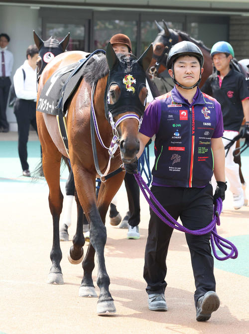 6月25日、東京10R、甲州街道Sに出走したフルヴォート