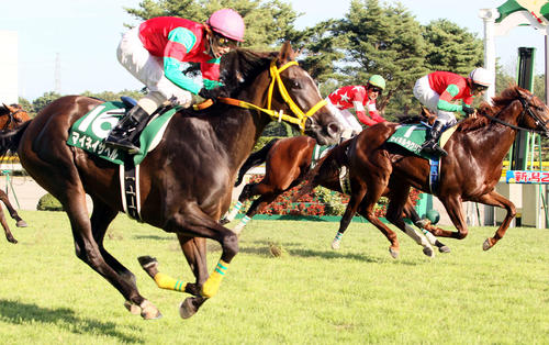 10年新潟2歳Sを制したマイネイサベル(左)