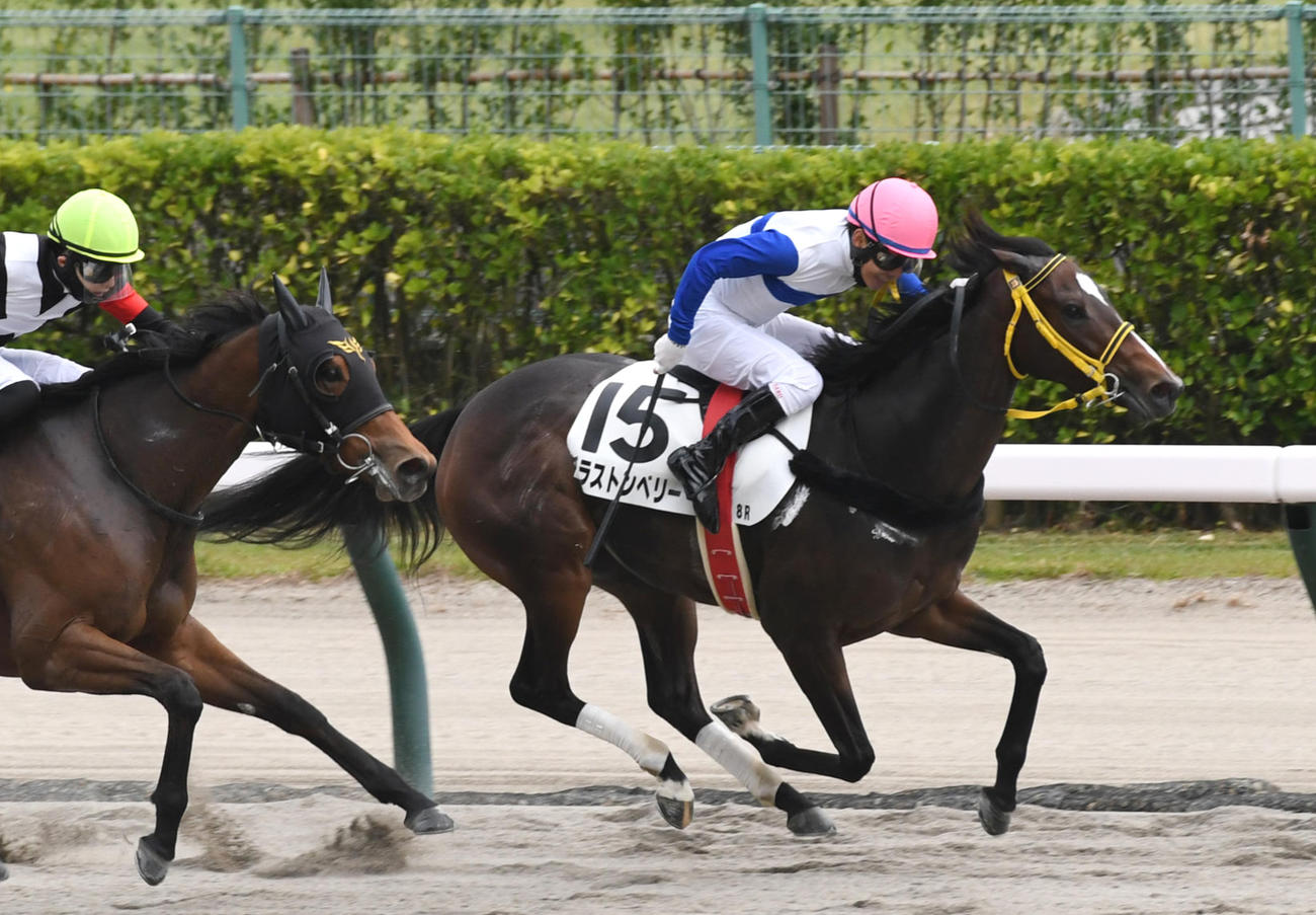 昨年10月、新潟8Rの3歳上1勝クラスを逃げ切ったグラストンベリー
