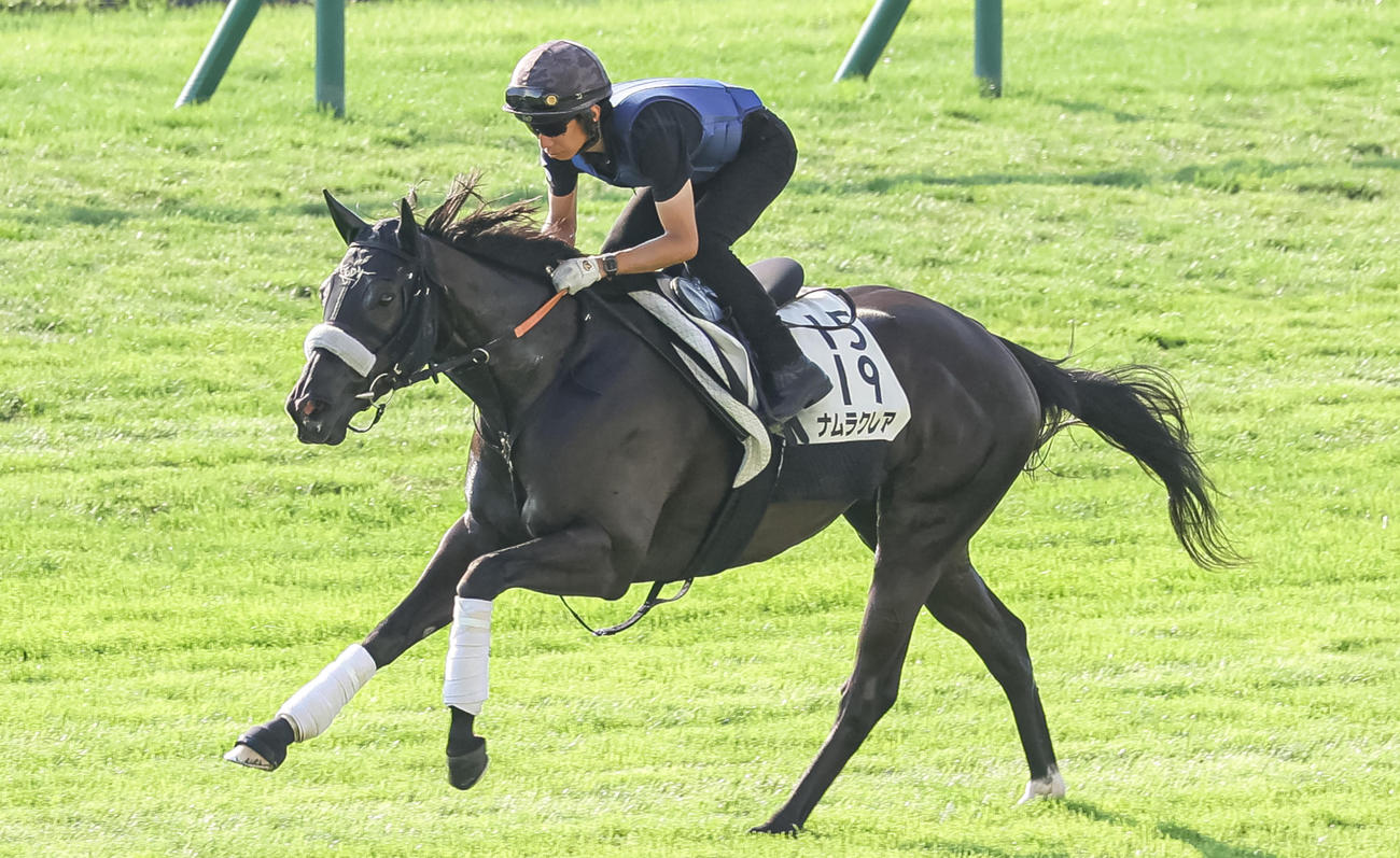 札幌芝コースで追い切られるナムラクレア（2023年8月23日撮影）