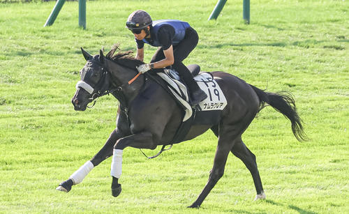 札幌芝コースで追い切られるナムラクレア(2023年8月23日撮影)