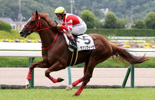 7月8日、2歳未勝利を制したヴァンヴィーヴ