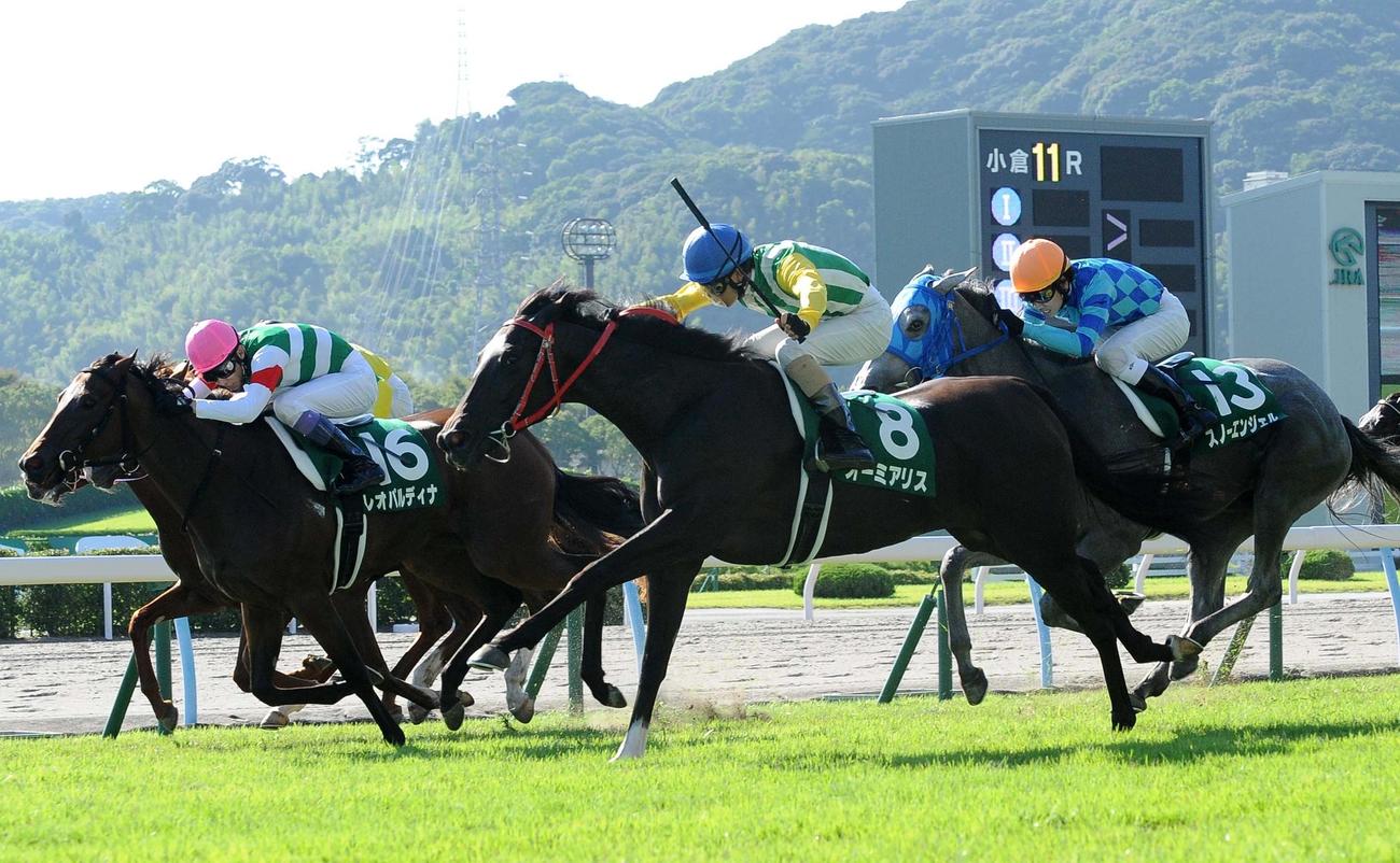 小倉2歳ステークスを制したオーミアリス（2014年9月7日撮影）