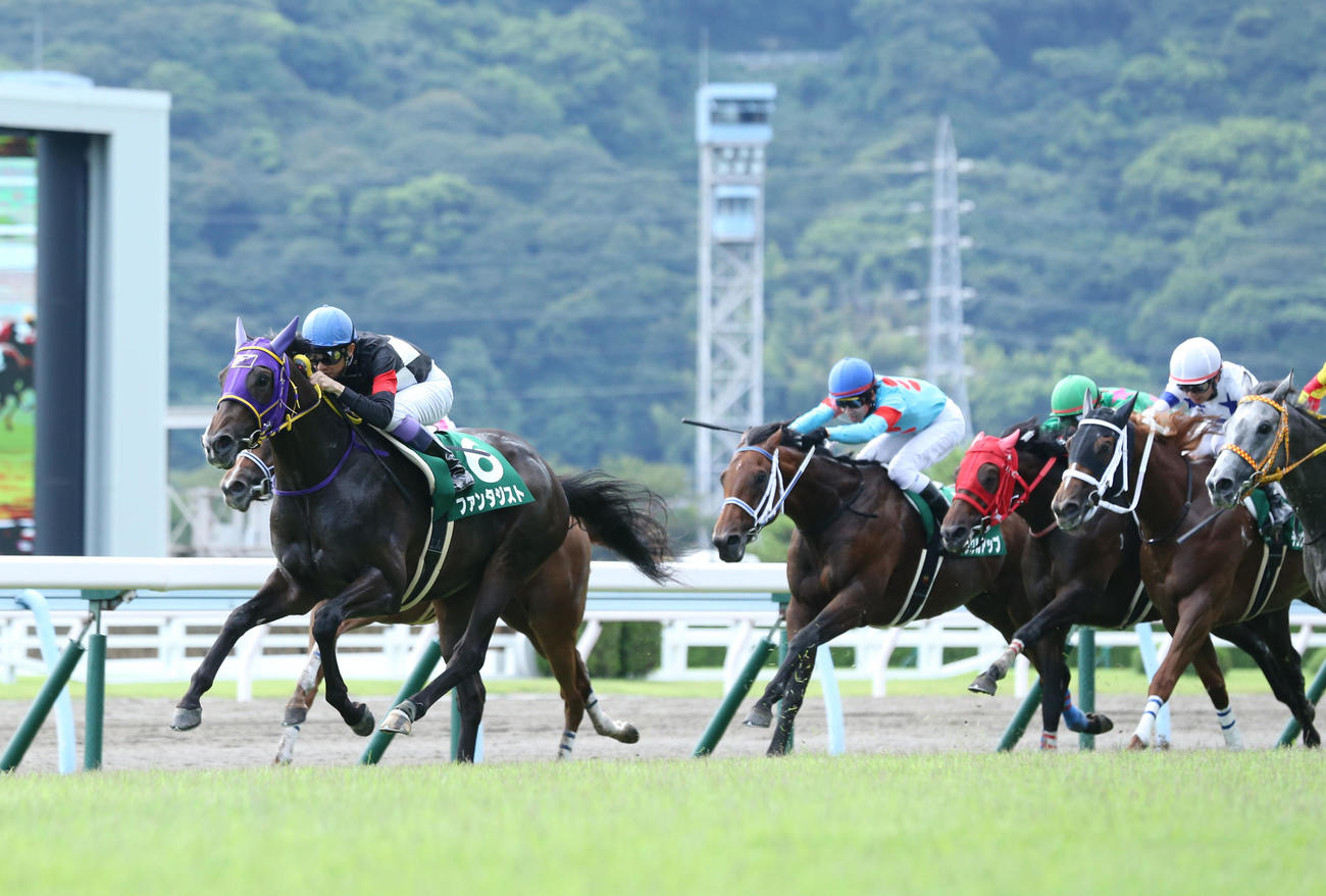 小倉2歳Sを制したファンタジスト（2018年9月2日撮影）