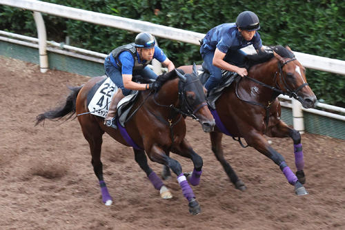 坂路で併せ馬で追い切るユーキャンスマイル(左)