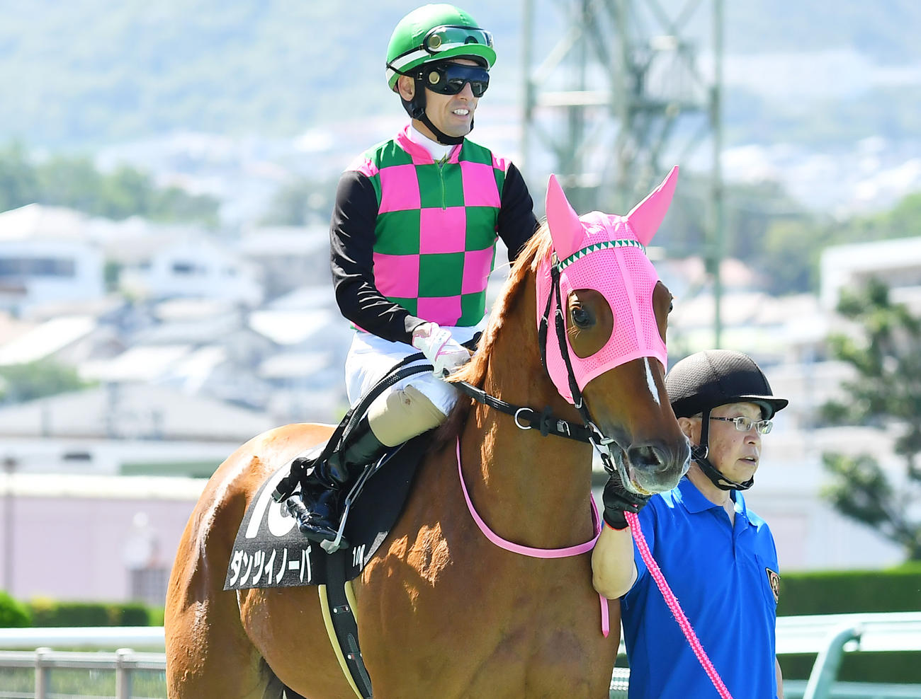 6月3日、小豆島特別9着のダンツイノーバ