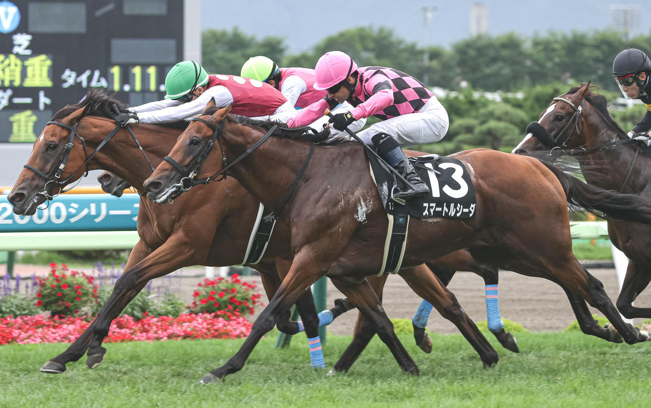 7月16日、湯の川温泉特別2着のスマートルシーダとC・ルメール騎手