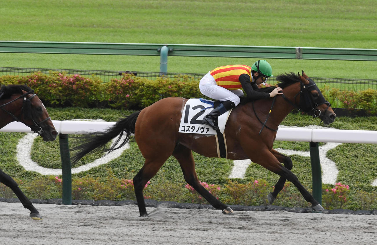 6月4日東京9Rの3歳上1勝クラスを制したコスタノヴァ