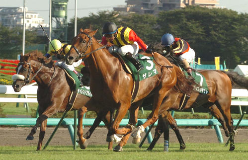 09年京成杯AHを制したザレマ(中央)
