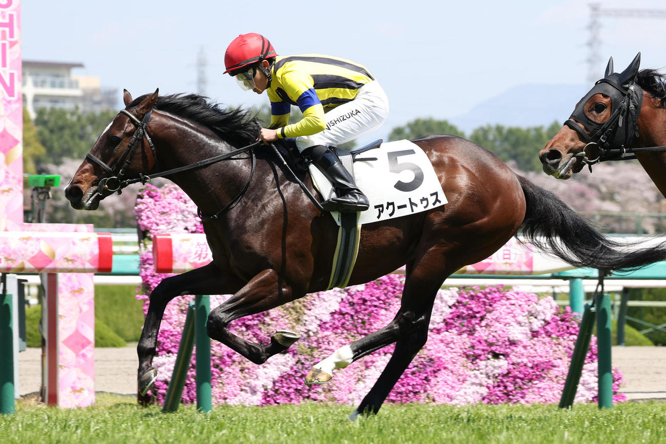 4月9日阪神4Rの3歳未勝利を勝ち上がったアクートゥス