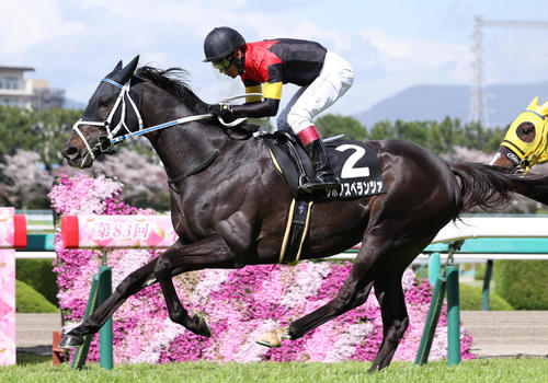 4月8日、白鷺特別を制したシホノスペランツ